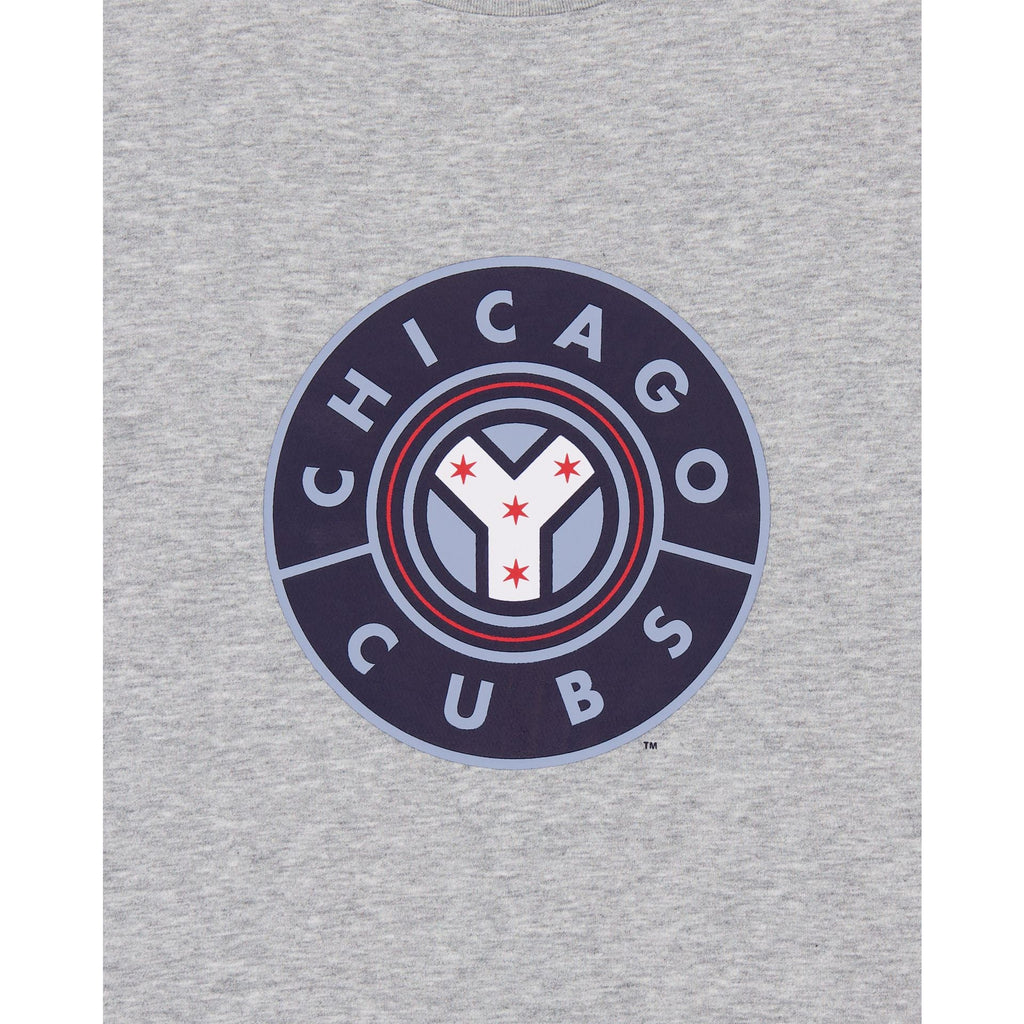 Chicago Cubs City Connect Gray T-Shirt