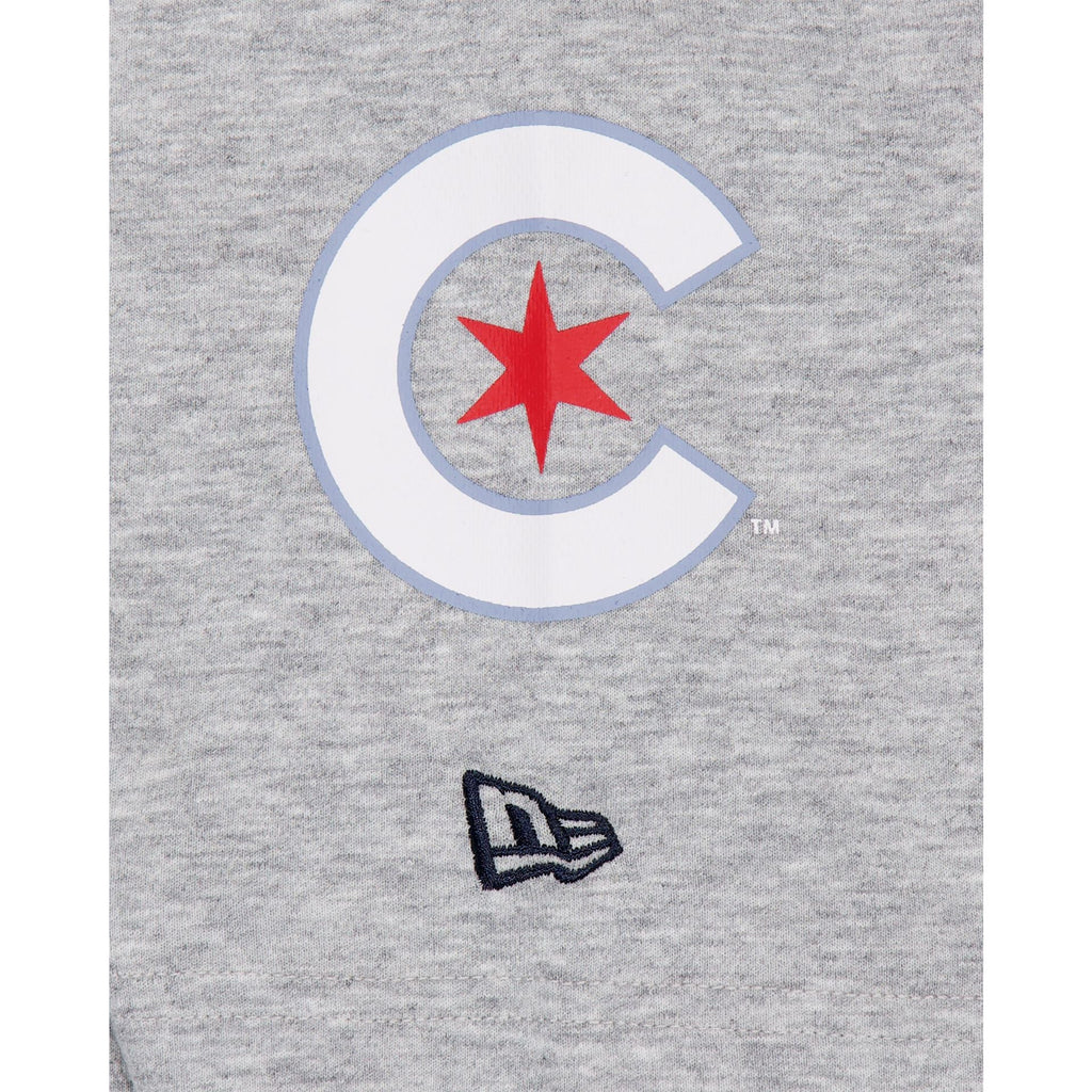Chicago Cubs City Connect Gray T-Shirt