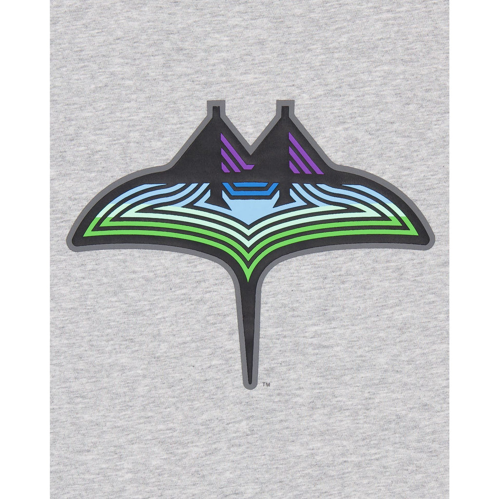 Tampa Bay Rays City Connect Gray T-Shirt