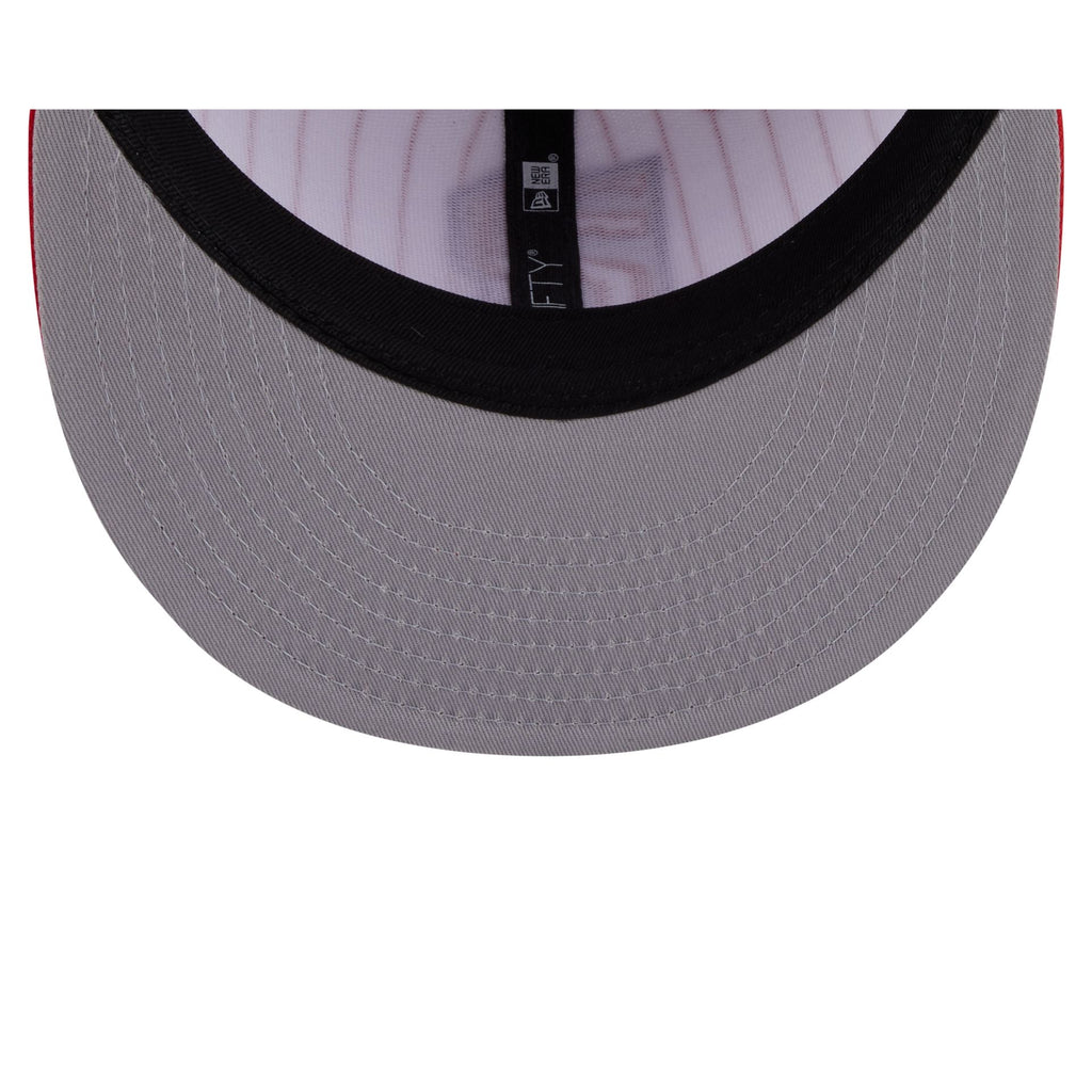 Toronto Raptors Deceptor Pinstripe 9FIFTY Snapback Hat