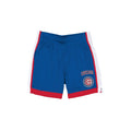 Chicago Cubs Team Color Summer Shorts