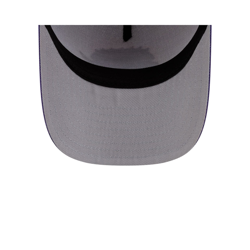 Toronto Raptors Hardwood Classics 90s Panel 9FIFTY A-Frame Snapback Hat